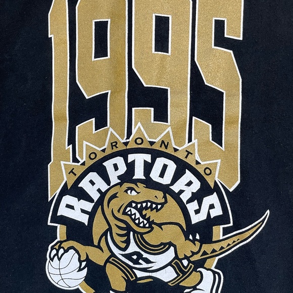 1995 Mitchell & Ness Toronto Raptors Zip up Hoodie (M) - Picture 5 of 7